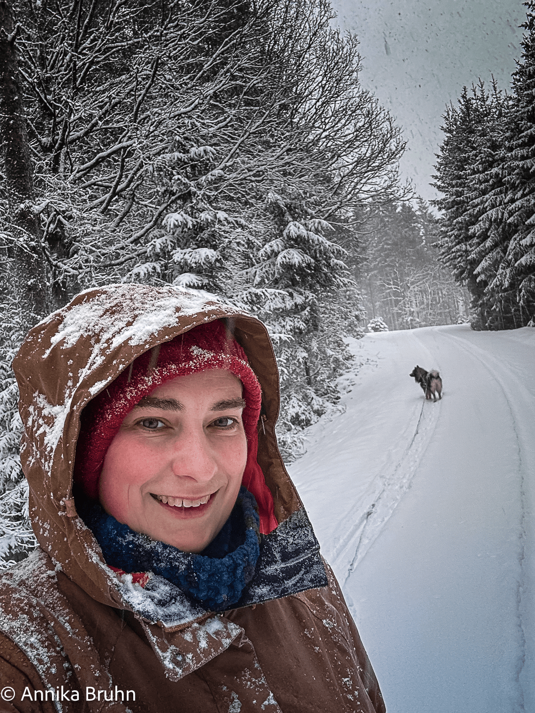 Q und ich auf Erkundungstour im Schnee